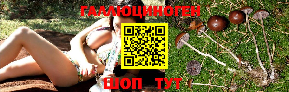 Галлюциногенные грибы мицелий Железноводск
