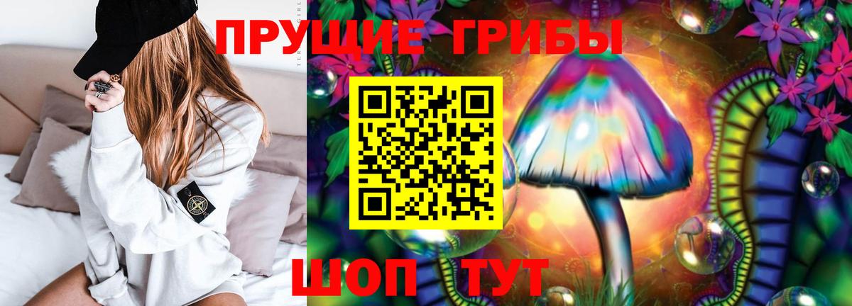 Галлюциногенные грибы GOLDEN TEACHER  Галлюциногенные грибы Cubensis  Железноводск  Вход с VPN 
